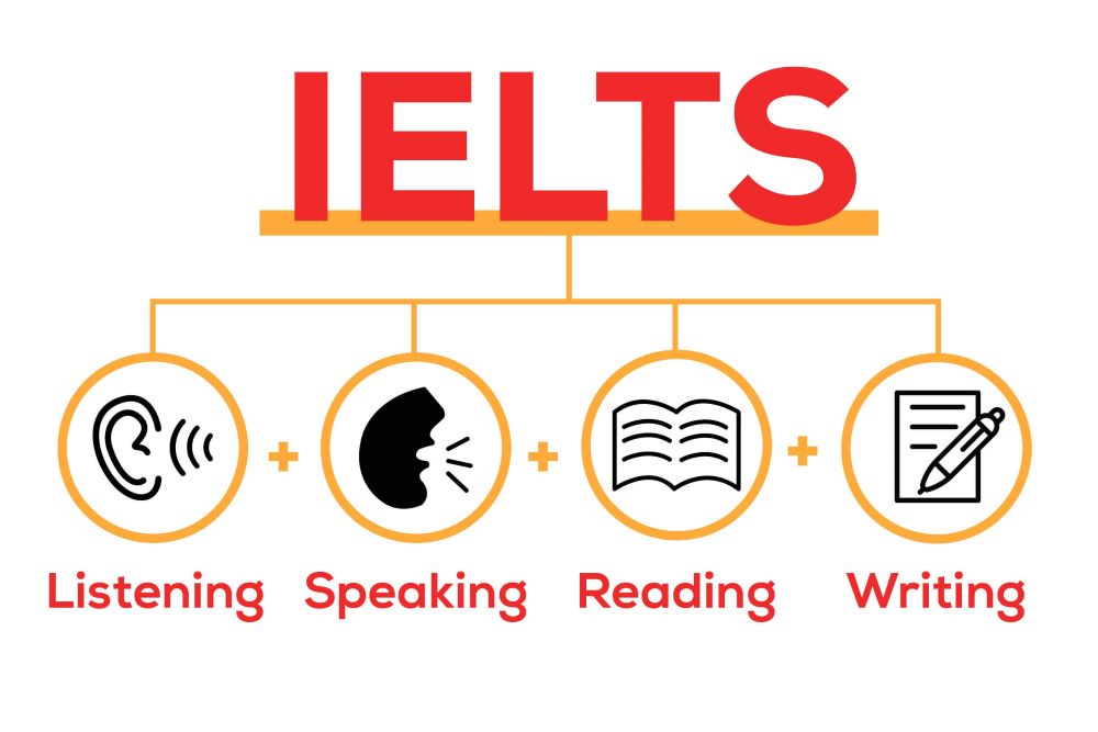 IELTS Newbie : Hành Trình Từ A1 Đến 3.0